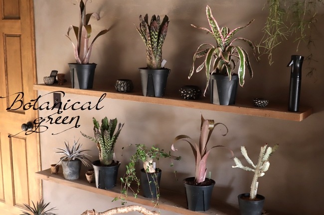 ��Ķ������ۥ����ᥢ �إ������ǥ������ʡ��Хꥨ��������