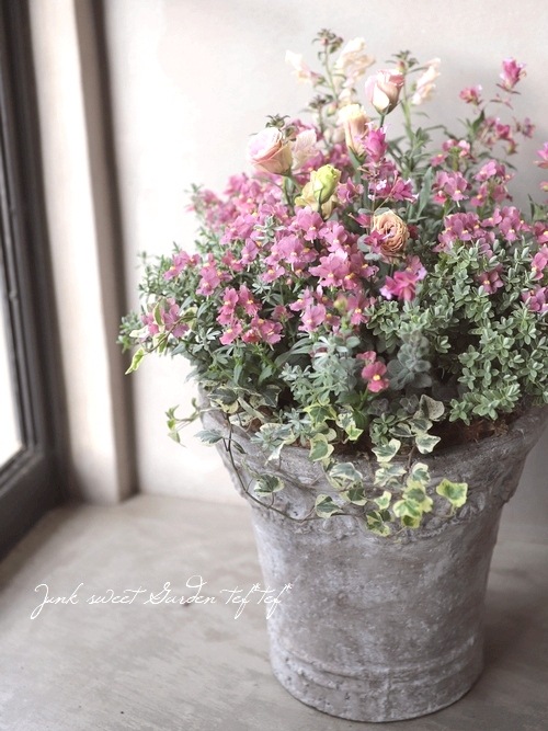 予約販売 5 2 お届け 母の日tef Tef テイスト 大人可愛い寄せ植え オーナーのセンスに任せて下さい すべての商品 Junk Sweet Garden Tef Tef