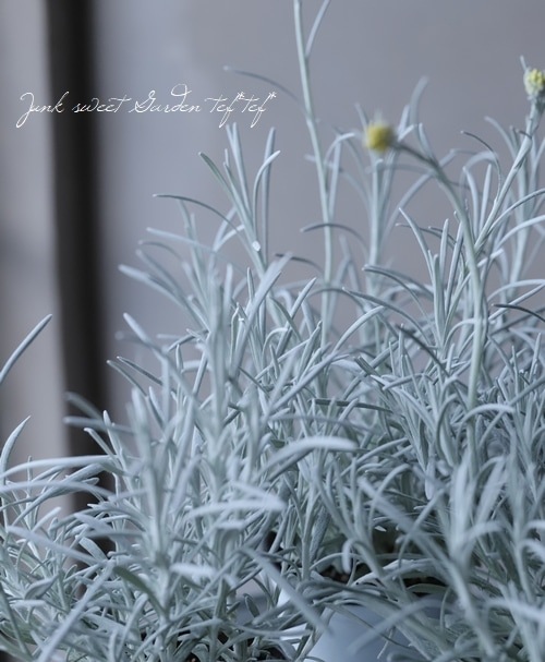 إꥯꥵࡦ󥹥˥ إСΡ