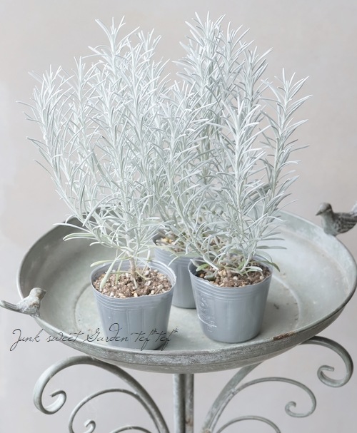 إꥯꥵࡦ󥹥˥ إСΡ