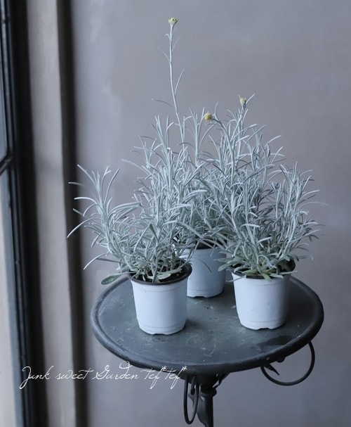 إꥯꥵࡦ󥹥˥ إСΡ