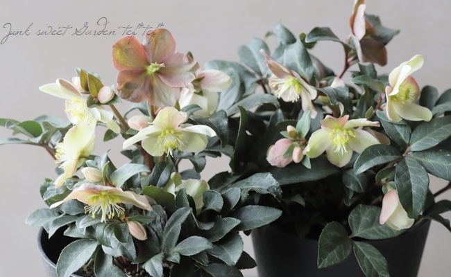 7_000000010669.jpg?1678209903