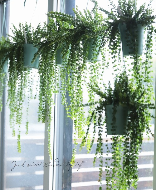 �ڴ��տ�ʪ�ۥǥ������ǥ��� �ߥꥪ��ϡ��� �إ륹���ե��ꥢ��