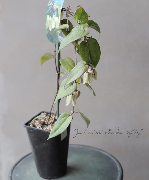 �����ޥ������ߺ餭���Х���ʡ����ϡ�����إإ�꡼��