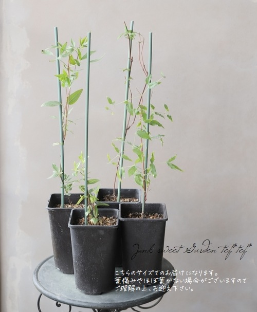 �����ޥ������ߺ餭���Х���ʡ����ϡ�����إإ�꡼��