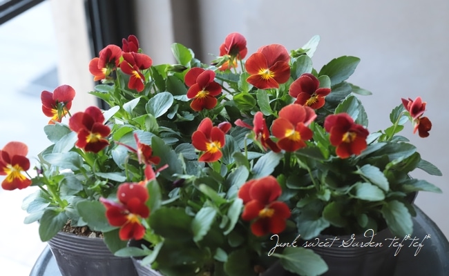 海外メモ　新品とおすそ分け用未使用品中古、多種類大量まとめ売り⭐️花柄多め、人物も 海外メモ 新品とおすそ分け用未使用品中古、多種類大量まとめ売り