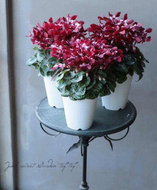 ǥ󥷥󡦥åإ磻åɡ١