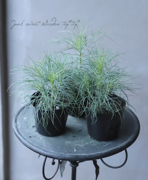 ���եޡ�����åȡ��إ����륷��������١�