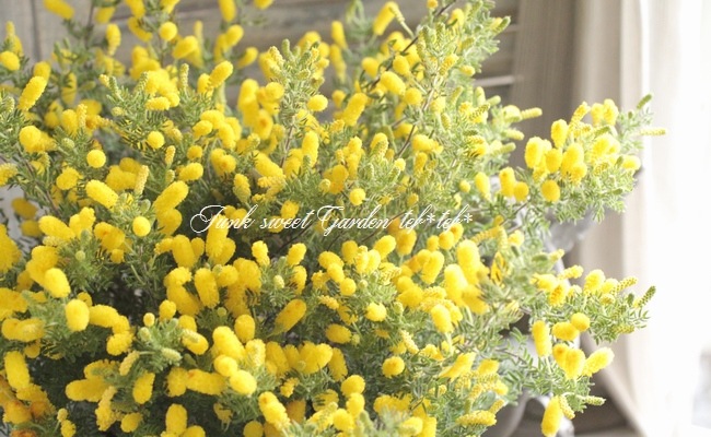 7_000000015969.jpg?1622029497