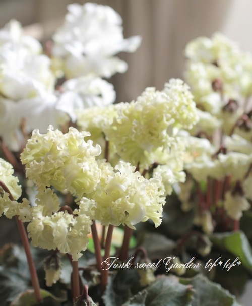 6_000000002874.jpg?1678209903