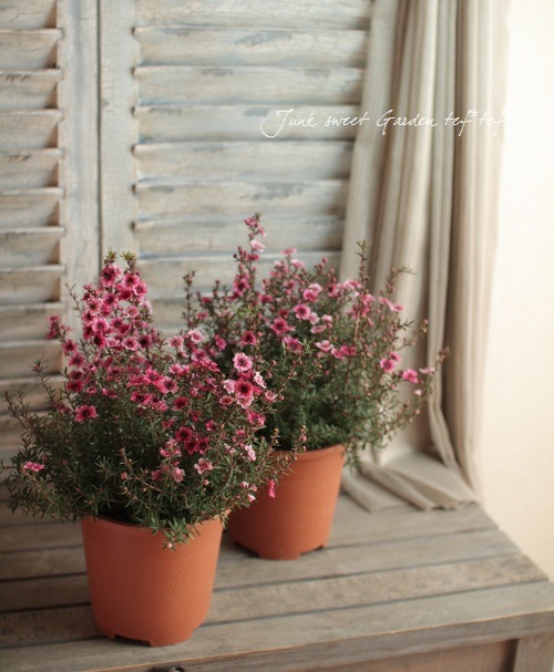 �����˶������в��ڡ�<BR>�إ����奦�Х���5��ȭ