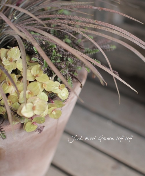 ץƥͥ顡إץåĥ֥å