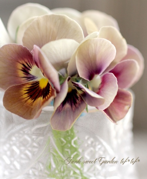 ߤȥӥ顦΢ʼMr.˥å