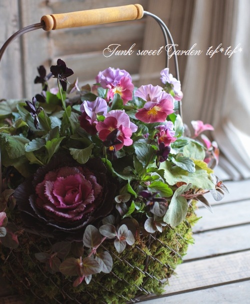 ڻߡۥ磻䡼Хåȡ롦M