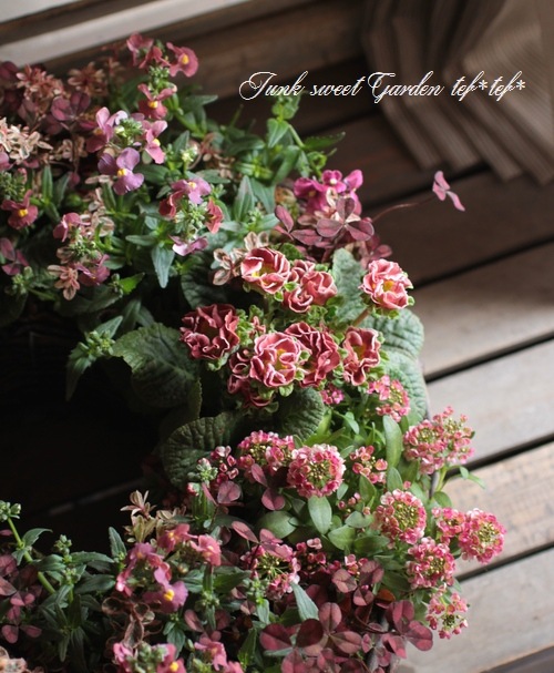 エルテ　『ブロッサム アンブレラ』 ファイン チャイナ　1990年　署名入り Amazon | ファイヤープロレスリング96 | ゲームソフト