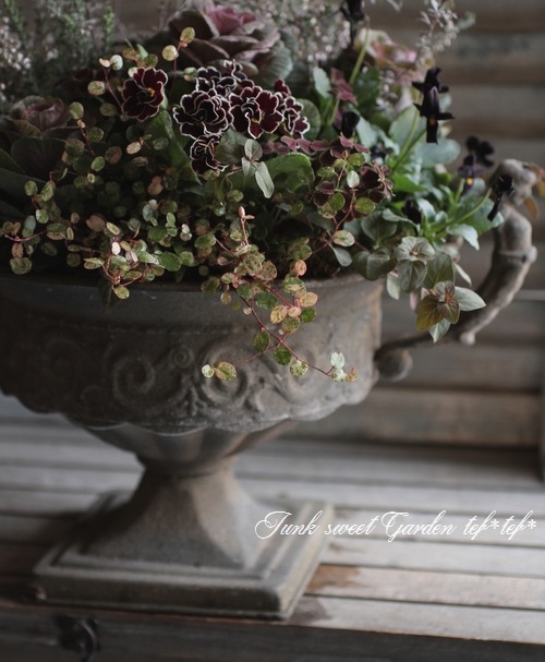 tef*tef*�󤻿���<BR>2014 * no.59 *<BR><BR>�إ���٥������ͤι�ڤʴ󤻿�����