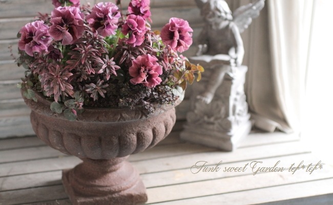 tef*tef*󤻿<BR>2015 * no37 *<BR><BR>եѥ󥸡Ƽ