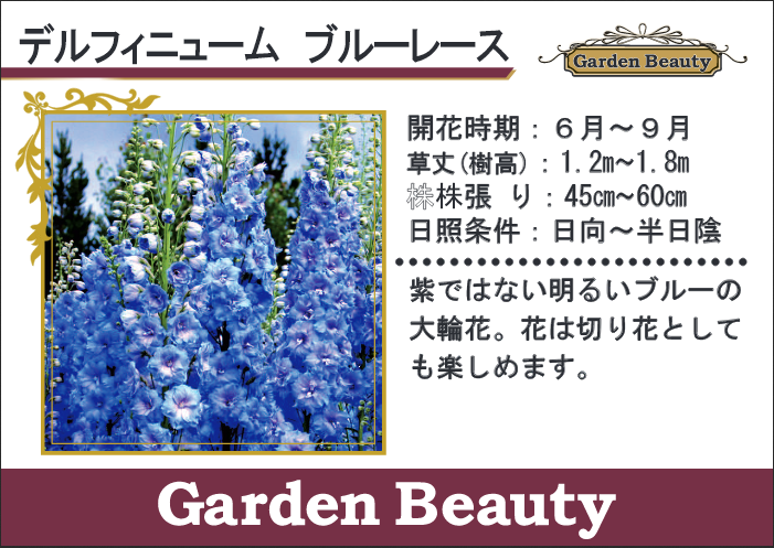 デルフィニウム Slip On 13.5 Inch XOval Titanium Muffler to fit NINJA 400 & Z400