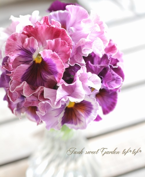 フリルパンジー フリフリ 『ラベンダー』 | すべての商品 | | Junk