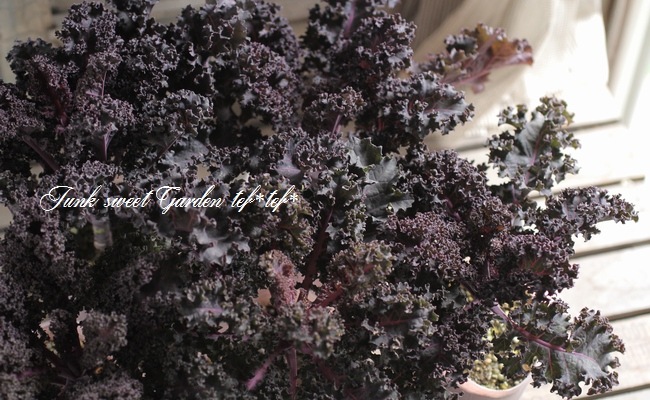 ե󥸤λ祱롡إѡץݥåס