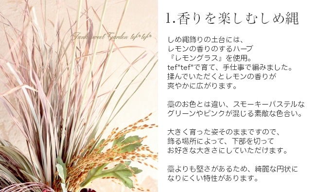 LUXURY SELECTION<BR>2016<BR>󥰥饹ι뤷<BR>إǥץѡץ