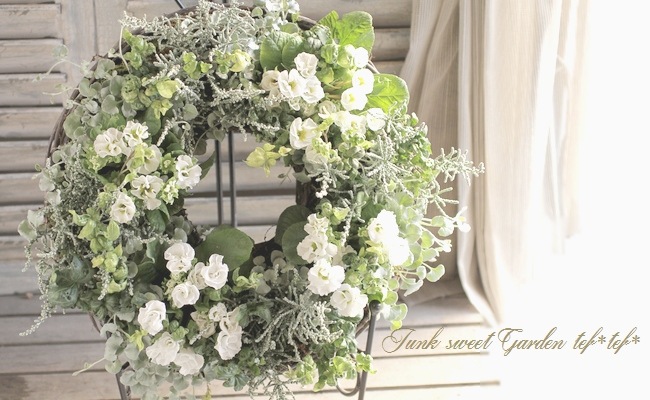 <i>Primula</i><BR><BR>ץ ꥢ<BR>餭ץ<BR>إѥ졼ɡ