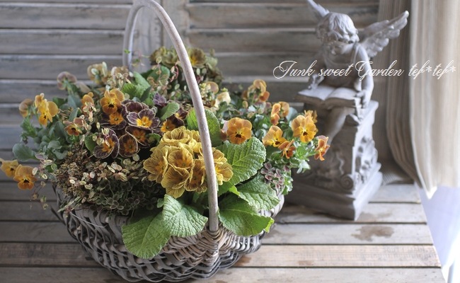 花茶 Amazon.co.jp: 12個 中国茶 工芸茶 花茶 花開富貴(センニチコウ花