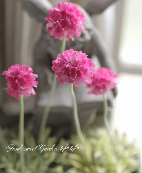 �����ꥢ���ꥢ���إ������ӡ��١��ϥޥ��󥶥�