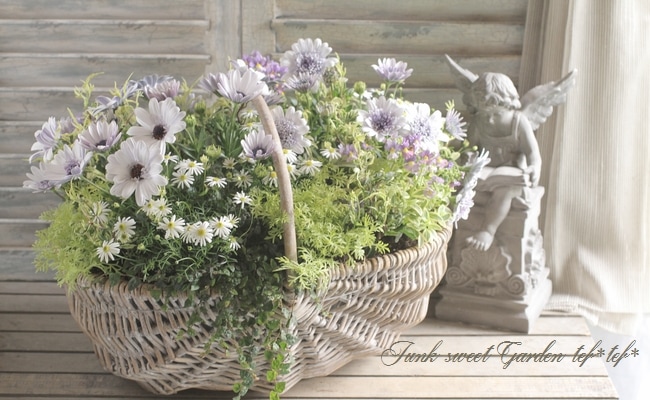 オステオトーム Olympus OMD 14-42mm EZ Power Zoom Black | Ted's Cameras