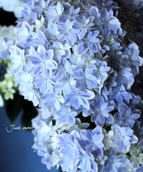 纬ꥸʥʼ Ȭź餭۲֡ڶ٥֥롼5ȭ