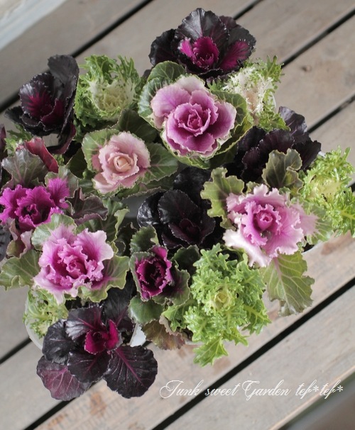 tef*tef*���̥֡�����Ω�ơ����Ȥ��ա����饭���ղ�ð���ظ��ҡ����ꥹ�ޥ�MIX��