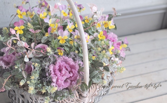 tef*tef*�󤻿��� 2016<BR> * no.71 *<BR>��ǯ��͵��Υԥ󥯡ߥ�������