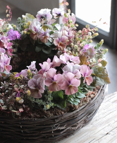 tef*tef*�󤻿��� 2017<BR> * no.2 *<BR>�ԥ󥯥֥饦��Υ꡼��