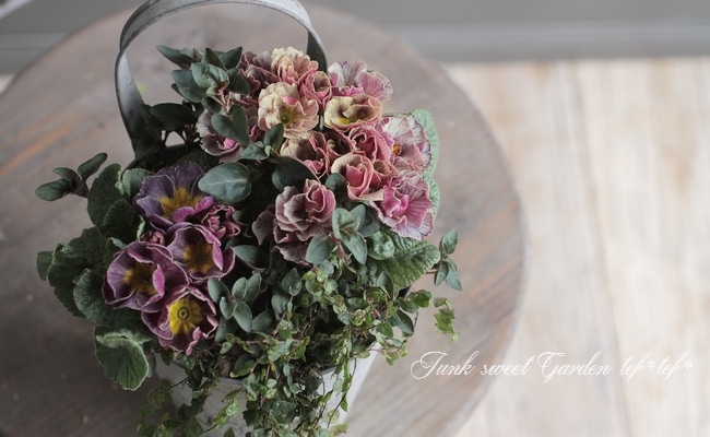 tef*tef*�󤻿��� 2017<BR> * no.11 *<BR>����ƥ������ѡ��ץ�