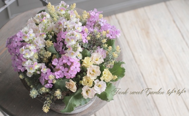 tef*tef*�󤻿��� 2017<BR> * no.12 *<BR>�տ��ԥ�