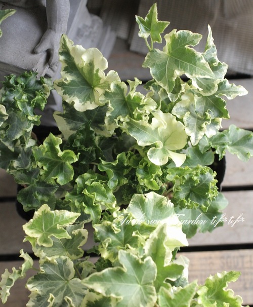 եإǥ顡إꥢ١إ塼꡼å