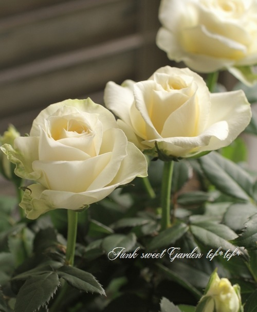 要問合せ♥️美しい薔薇空間♥️チェスト ミニテーブル 薔薇ペイント