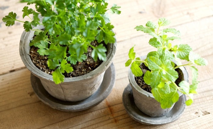 ڻߡۥɡ֥å⥹ݥå 15cm