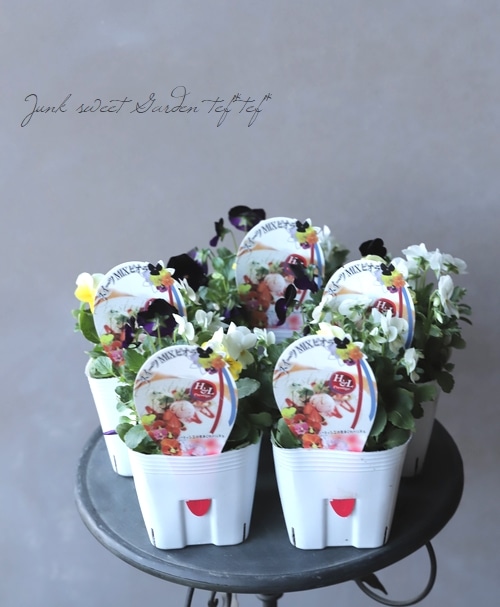 mikarinさま　ＦＲ2♥ スイーツMIXビオラ　Ｈ＆Ｌプランテーション mikarinさま FR2♥ スイーツMIXビオラ H＆Lプランテーション