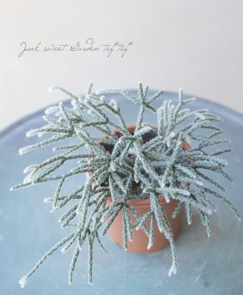 ڴտʪ ץꥹ إԥѡ إեȥ奬