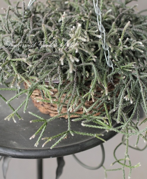 ڴտʪ ץꥹ إԥѡ إեȥ奬