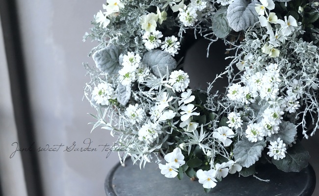 ����ƥߥ��� �إ������ԥ��󡦥����ޡ١��إѥ�ե��� �ɥ� �������ԥ��ٹ��ι�ꡪ