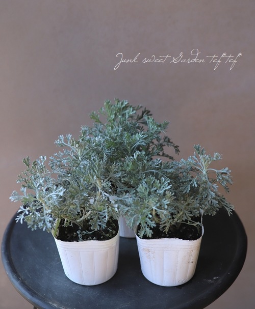 ����ƥߥ��� �إ������ԥ��󡦥����ޡ١��إѥ�ե��� �ɥ� �������ԥ��ٹ��ι�ꡪ