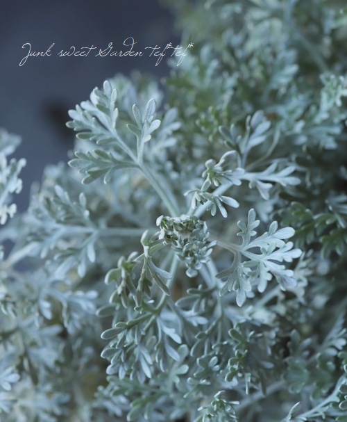 ����ƥߥ��� �إ������ԥ��󡦥����ޡ١��إѥ�ե��� �ɥ� �������ԥ��ٹ��ι�ꡪ