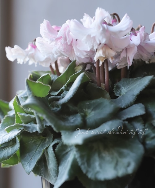 2_000000014670.jpg?1678209903