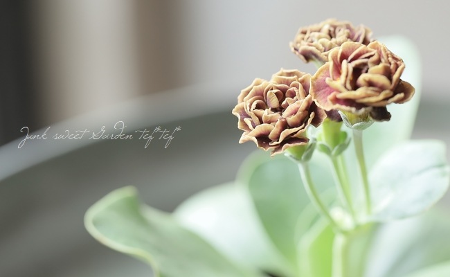 ���ʥץ��顦�����ꥭ��顡����������ɥ��֥�ϡ��إ����ꥢ�ࡦ�����