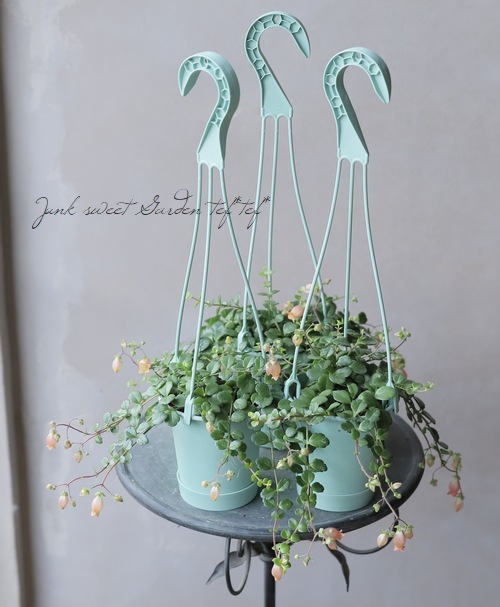 ����󥳥�����˥ե����顡Qween�� �إե��ե��� �ߤ�ȭ