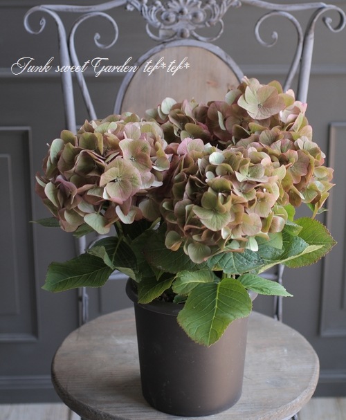 あずさ様　緑系、白、薄紫⭕️9月中まで　⭕️造花葉っぱ無し　⭕️シルバー21 ♾️ Flower&Green YUASA ご覧いただきありがとうございます🌿 9