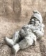 �ڻ��ߡ� �ѹ�SPARTA STATUES ��Gnome on Toadstools�� �����ǥ󥪡��ʥ���