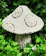 �ڻ��ߡ� �ѹ�SPARTA STATUES ��Toadstool Small�� �����ǥ󥪡��ʥ���